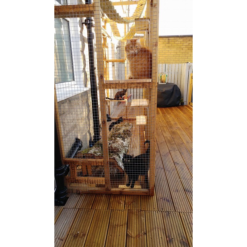 Tall sale cat kennel